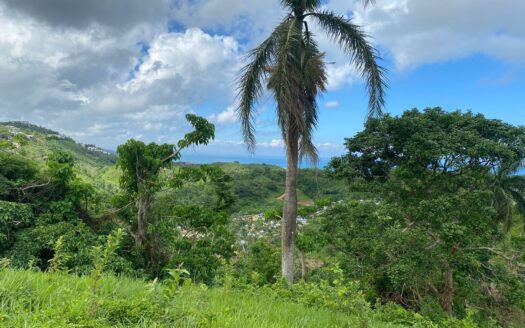 Affordable lot whit panoramic views