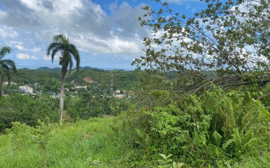 Affordable lot whit panoramic views