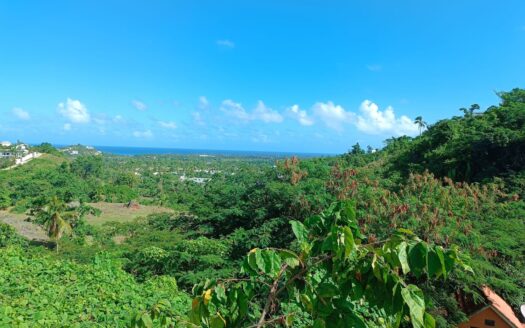 Terrain avec vue imprenable