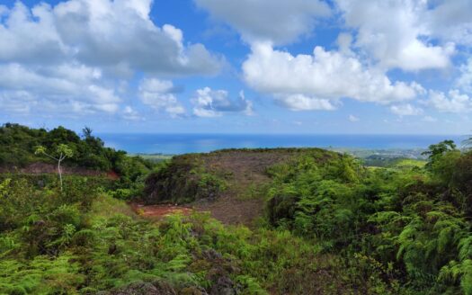 Great investment opportunity Affordable Ocean View Lots