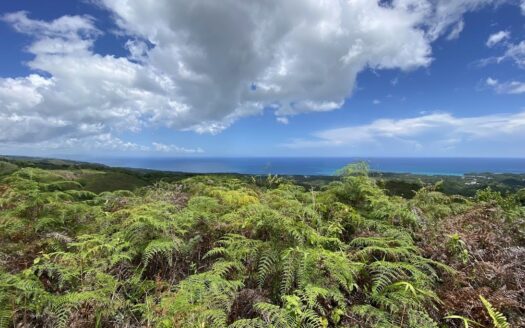 Great investment opportunity Affordable Ocean View Lots