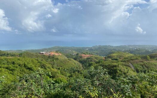 Great investment opportunity Affordable Ocean View Lots