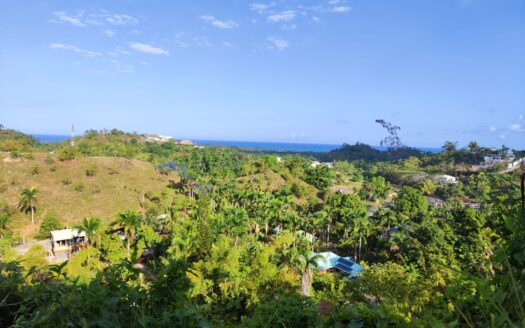 Small  but affordable lots with ocean view in the center of town