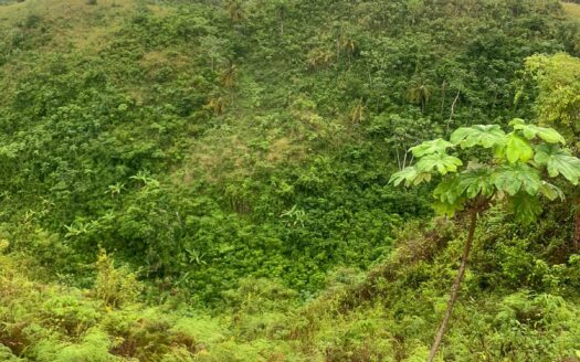 Terrain à développer idéal pour un projet immobilier écologique