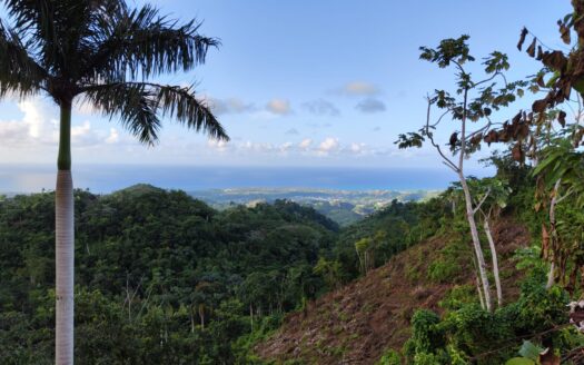 Terrain de développement super abordable pour un projet d’éco-villas