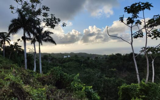 Terrain de développement super abordable pour un projet d’éco-villas