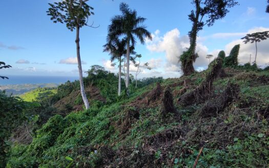 Terrain de développement super abordable pour un projet d’éco-villas