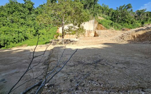 Lot close to the town and boulevard