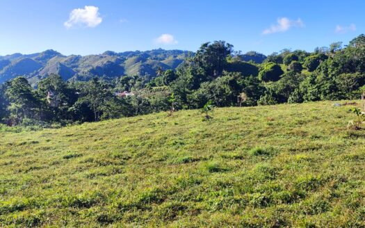 Terrain avec source naturelle et vue sur l’océan