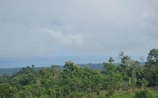 Terrain avec source naturelle et vue sur l’océan