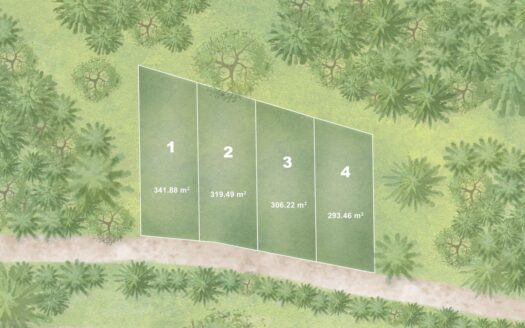 Small building lots steps from Las Ballenas beach