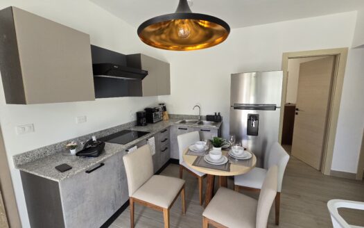 Condo 1 chambre dans un nouveau projet