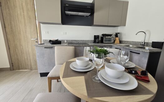 Condo 1 chambre dans un nouveau projet
