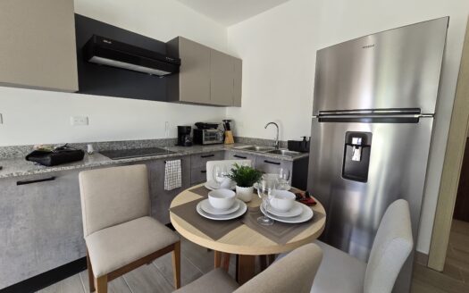 Condo 1 chambre dans un nouveau projet