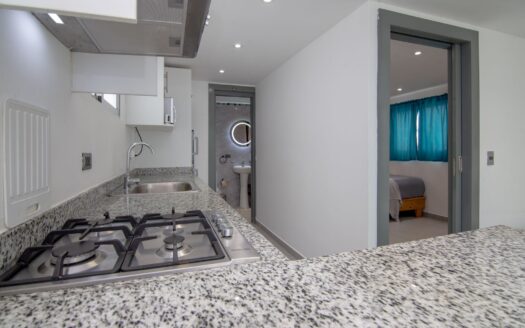 Maison de ville 1 chambre dans la vallée de Cosón