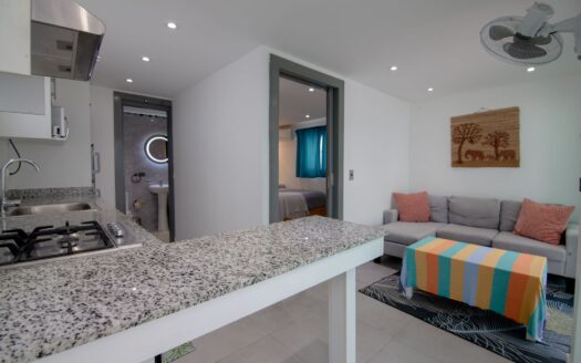 Maison de ville 1 chambre dans la vallée de Cosón