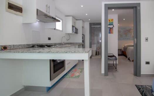 Maison de ville 1 chambre dans la vallée de Cosón