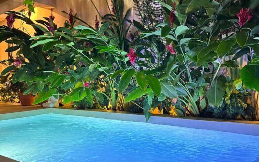 Villa de luxe au cœur de Las Terrenas