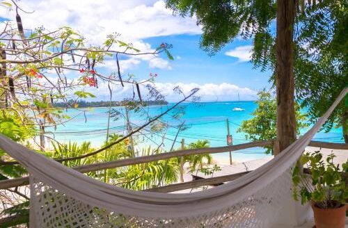 Hôtel caribéen authentique face à l’océan
