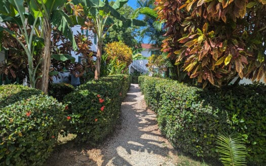 Cute 1-BR Condo Walking Distance from the Beach