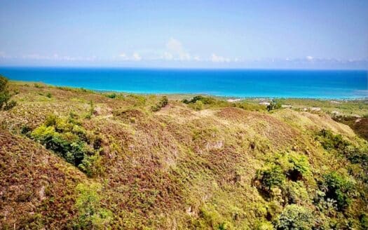 Terrain à développer idéal pour un projet immobilier écologique