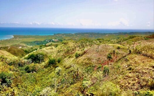 Terrain à développer idéal pour un projet immobilier écologique
