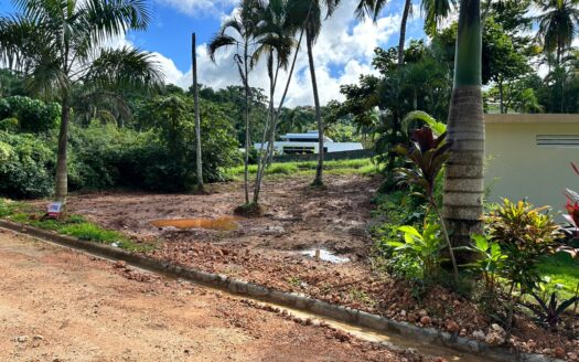 Lot in a peaceful tropical community