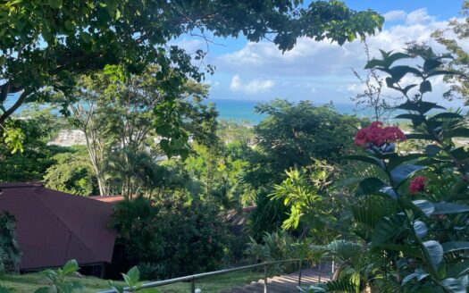 6 villas avec vue sur l’océan au cœur de Las Terrenas