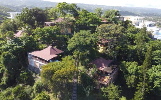 6 villas avec vue sur l’océan au cœur de Las Terrenas