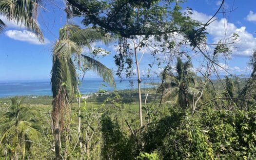 Prime ocean view land for project above Playa Cosón