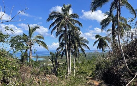Prime ocean view land for project above Playa Cosón