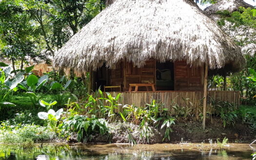 Éco lodge au cœur de la nature