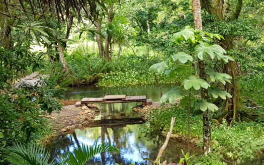 Éco lodge au cœur de la nature