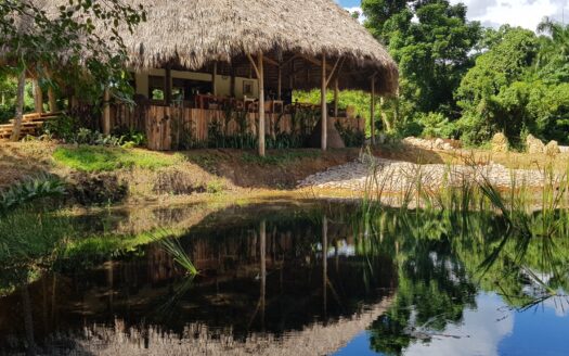 Éco lodge au cœur de la nature