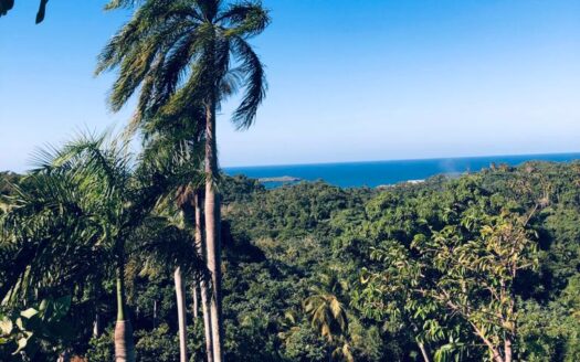 Incredible hill overlooking Playa Moron