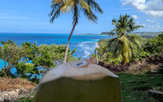 Terrain exceptionnel avec collines au-dessus de la plage Coson