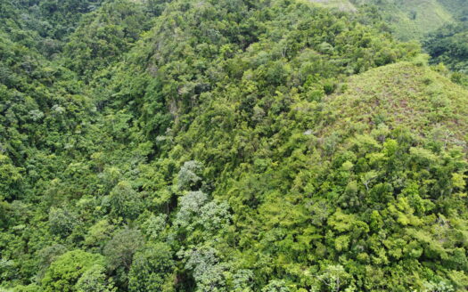 Terrain de développement avec vue sur l’océan à Coson