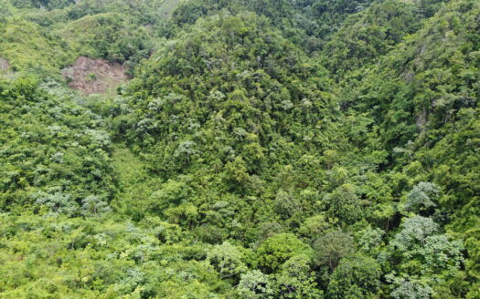 Terrain de développement avec vue sur l’océan à Coson