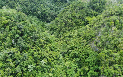 Terrain de développement avec vue sur l’océan à Coson
