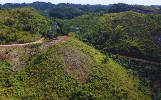 Terrain avec vue sur l’océan dans le projet Sienna