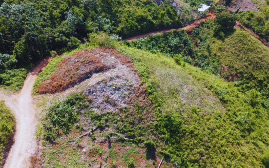 Terrain avec vue sur l’océan dans le projet Sienna