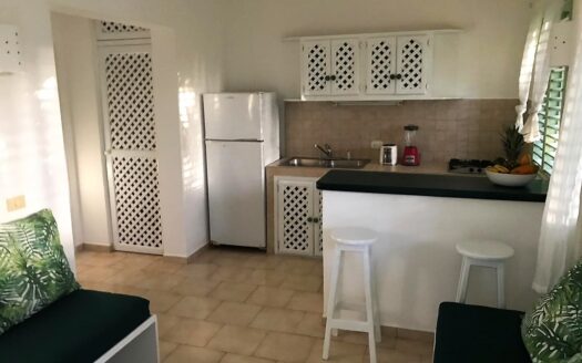 Cozy 1-BR condo step to Punta Popy Beach