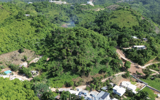 Occasion unique de terrain à La Ceiba